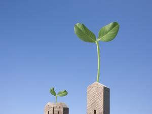 浜松市で知っておくべき遺言書作成のポイントと専門家の選び方ガイド