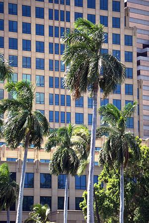 大都市東京でマンスリーマンションを見つけるには