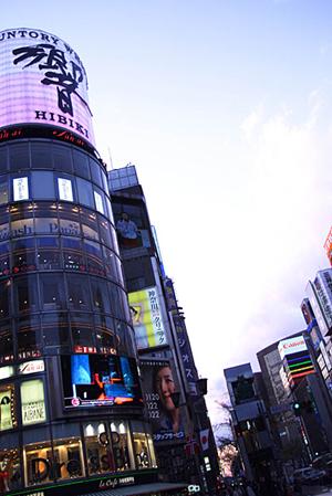 賃貸ガレージハウスを利用するなら