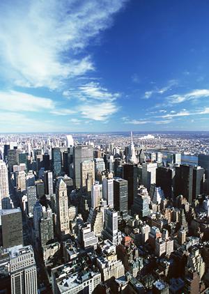 千葉でカスタマイズできるのが特徴