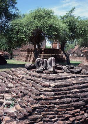 空き家の管理をサポートしてもらえます
