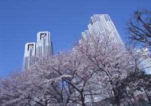 頼りになる大規模修繕コンサルタント